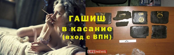 твердый Аркадак