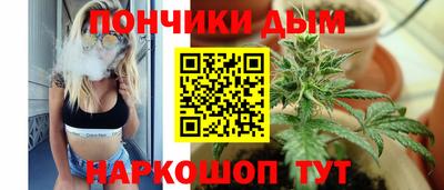 прущие крисы Шахты