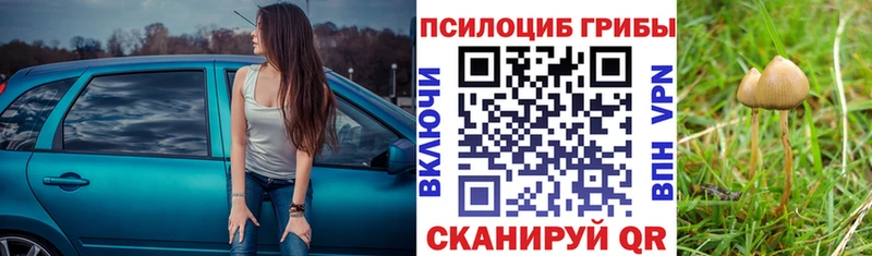дарнет шоп  Обнинск  Галлюциногенные грибы мицелий 