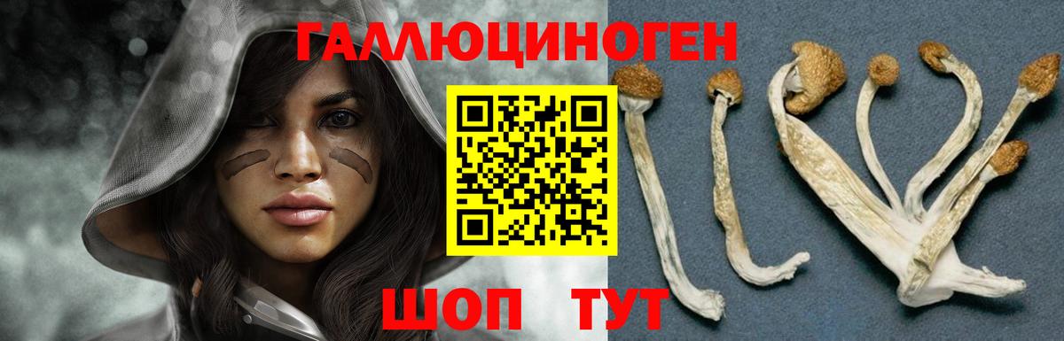 Псилоцибиновые грибы GOLDEN TEACHER  Вход с VPN  Обнинск 